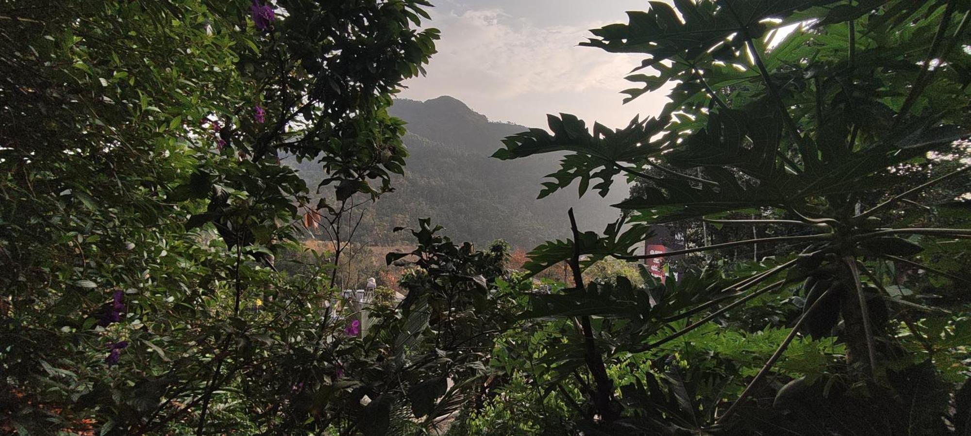 Koonamparayil Home Stay Munnar Anaviratty-Family Only Εξωτερικό φωτογραφία