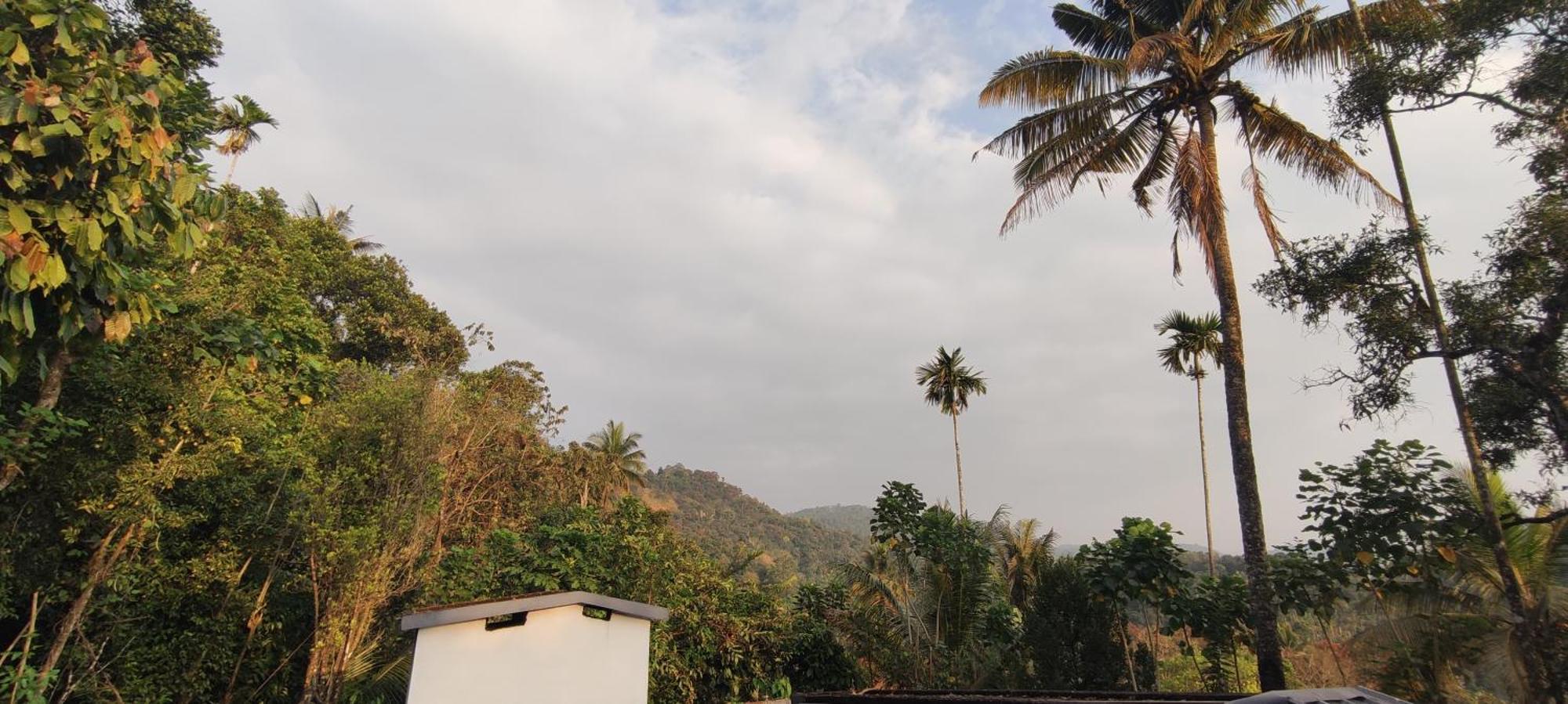 Koonamparayil Home Stay Munnar Anaviratty-Family Only Εξωτερικό φωτογραφία