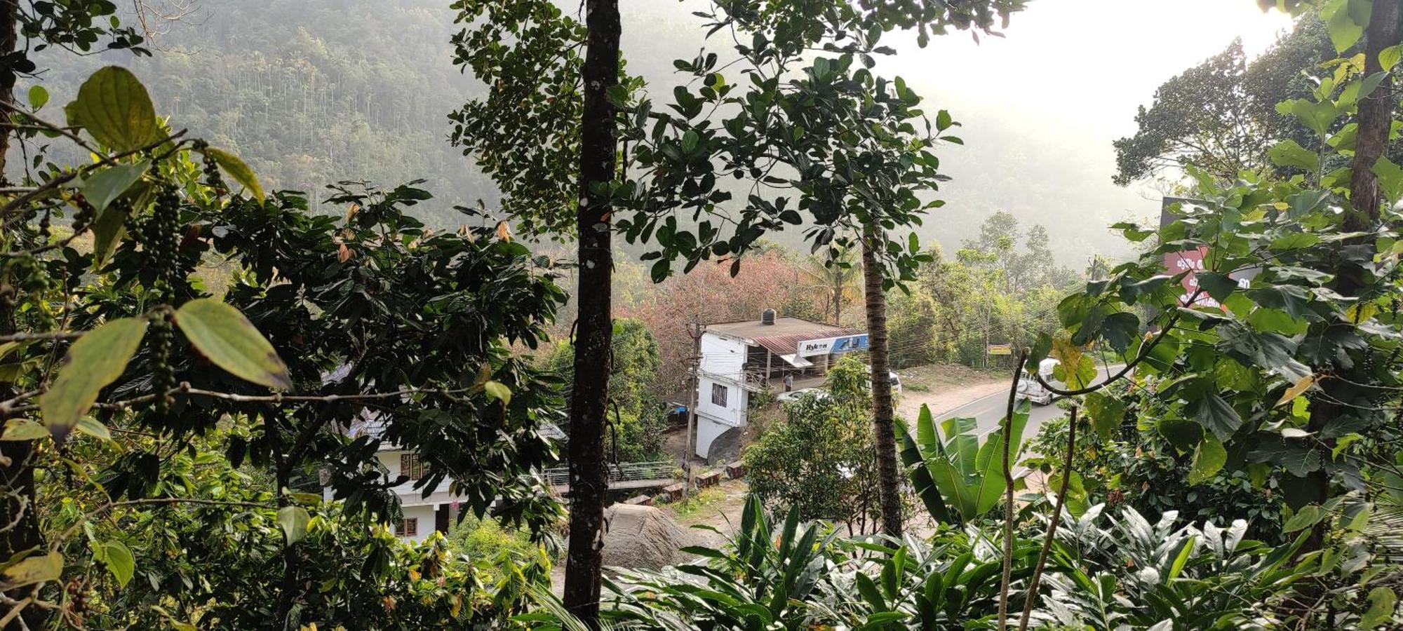 Koonamparayil Home Stay Munnar Anaviratty-Family Only Εξωτερικό φωτογραφία